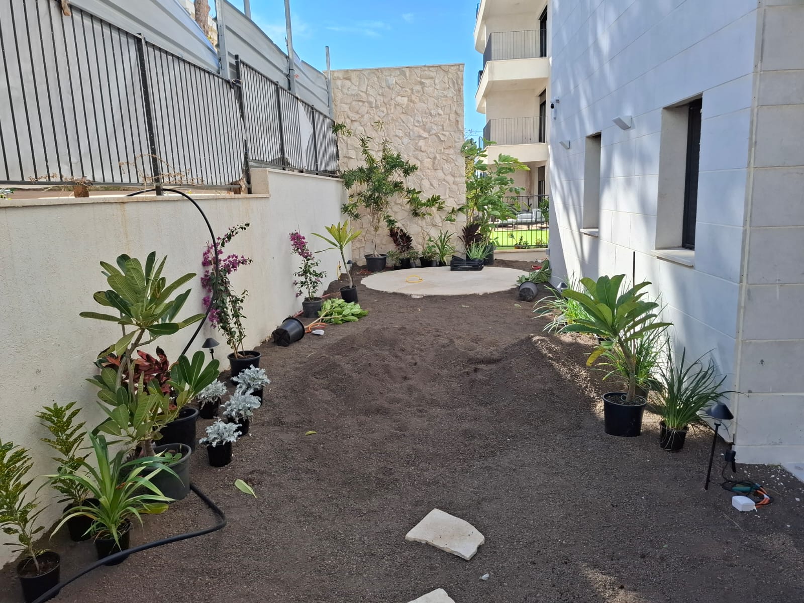 החצר לפני — קרקע חשופה וצמחים בעציצים